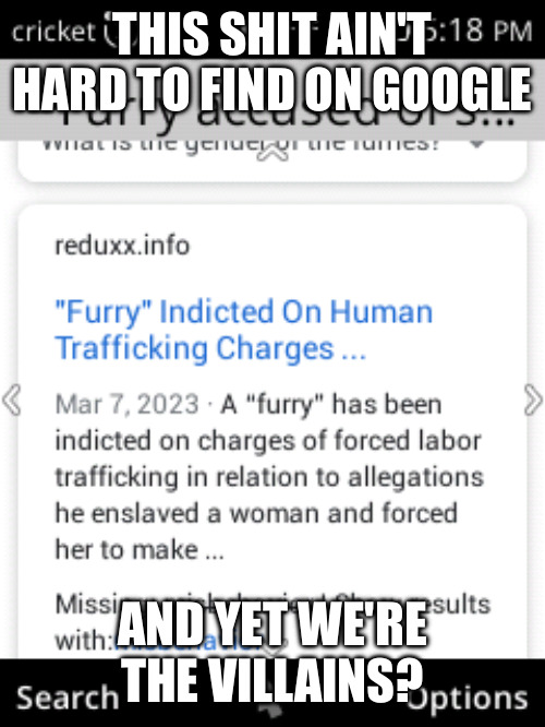 Page 1 of google. | THIS SHIT AIN'T HARD TO FIND ON GOOGLE; AND YET WE'RE THE VILLAINS? | image tagged in wtf,anti furry | made w/ Imgflip meme maker
