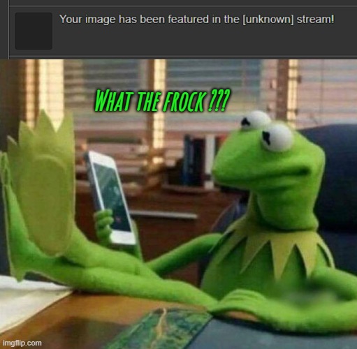 What the frock ??? | image tagged in kermit on the phone | made w/ Imgflip meme maker