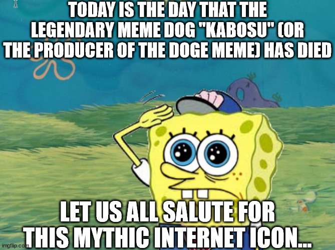 I come before you today... | TODAY IS THE DAY THAT THE LEGENDARY MEME DOG "KABOSU" (OR THE PRODUCER OF THE DOGE MEME) HAS DIED; LET US ALL SALUTE FOR THIS MYTHIC INTERNET ICON... | image tagged in spongebob salute,doge | made w/ Imgflip meme maker