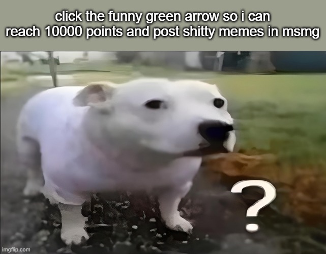 hi | click the funny green arrow so i can reach 10000 points and post shitty memes in msmg | image tagged in huh dog | made w/ Imgflip meme maker