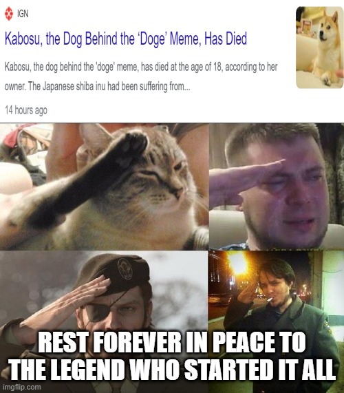 Rest in Peace, Doge. We'll miss you... | REST FOREVER IN PEACE TO THE LEGEND WHO STARTED IT ALL | image tagged in ozon's salute,doge,crying salute,salute,rest in peace | made w/ Imgflip meme maker