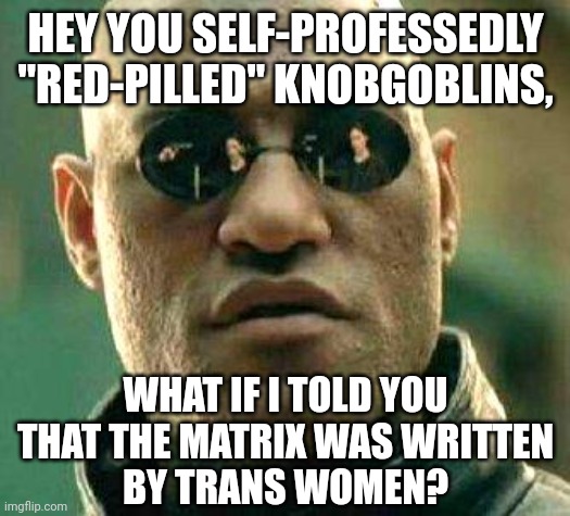 Conservatives don't understand art. | HEY YOU SELF-PROFESSEDLY
"RED-PILLED" KNOBGOBLINS, WHAT IF I TOLD YOU
THAT THE MATRIX WAS WRITTEN
BY TRANS WOMEN? | image tagged in what if i told you,conservative logic,matrix morpheus,transgender,transphobic,anti-feminism | made w/ Imgflip meme maker