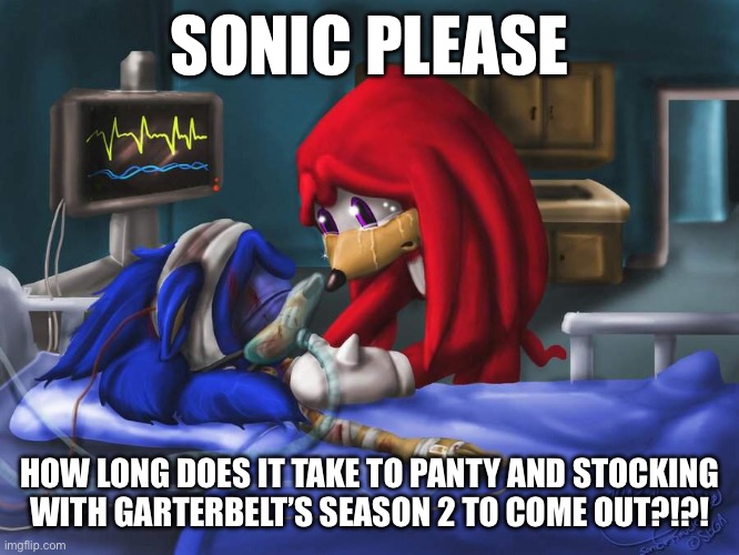 What a Long Cliffhanger | SONIC PLEASE; HOW LONG DOES IT TAKE TO PANTY AND STOCKING WITH GARTERBELT’S SEASON 2 TO COME OUT?!?! | image tagged in sonic please,panty and stocking with garterbelt,cliffhanger,when an anime leaves you on a cliffhanger | made w/ Imgflip meme maker