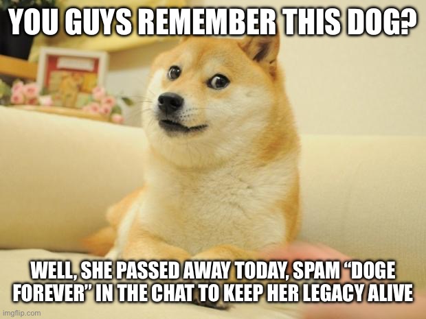 It’s a sad day today for kabosu, rest in peace legend | YOU GUYS REMEMBER THIS DOG? WELL, SHE PASSED AWAY TODAY, SPAM “DOGE FOREVER” IN THE CHAT TO KEEP HER LEGACY ALIVE | image tagged in memes,doge 2 | made w/ Imgflip meme maker