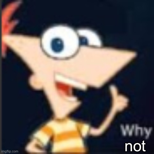 Phineas why | not | image tagged in phineas why | made w/ Imgflip meme maker