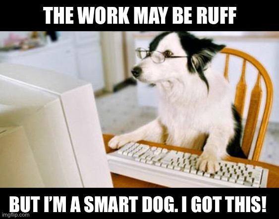 Work may be ruff… | THE WORK MAY BE RUFF; BUT I’M A SMART DOG. I GOT THIS! | image tagged in dog computer,dog,dogs,dog memes,computer,work | made w/ Imgflip meme maker