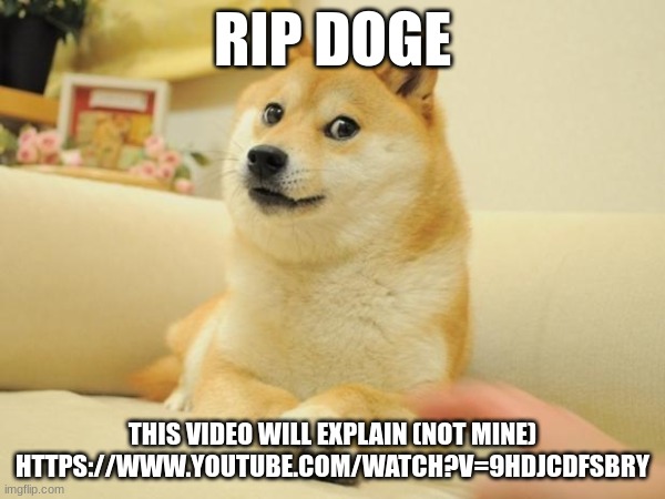 RIP DOGE; THIS VIDEO WILL EXPLAIN (NOT MINE)
HTTPS://WWW.YOUTUBE.COM/WATCH?V=9HDJCDFSBRY | made w/ Imgflip meme maker