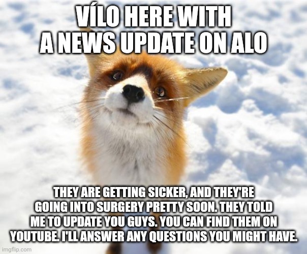 They gave me the password to this account | VÍLO HERE WITH A NEWS UPDATE ON ALO; THEY ARE GETTING SICKER, AND THEY'RE GOING INTO SURGERY PRETTY SOON. THEY TOLD ME TO UPDATE YOU GUYS. YOU CAN FIND THEM ON YOUTUBE. I'LL ANSWER ANY QUESTIONS YOU MIGHT HAVE. | image tagged in what does the fox say | made w/ Imgflip meme maker