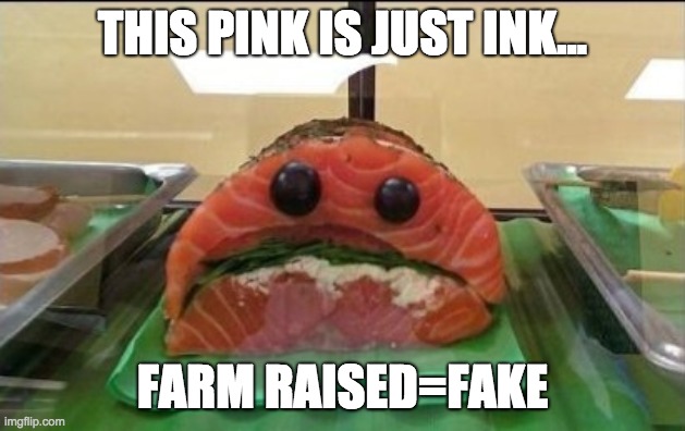 Grumpy Salmon | THIS PINK IS JUST INK... FARM RAISED=FAKE | image tagged in grumpy salmon | made w/ Imgflip meme maker