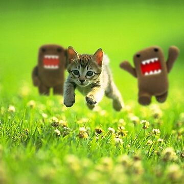 High Quality Domo chasing cat Blank Meme Template