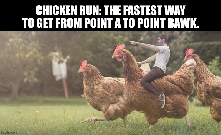 Chicken run | CHICKEN RUN: THE FASTEST WAY TO GET FROM POINT A TO POINT BAWK. | image tagged in man riding chicken,chicken,chickens,chicken run | made w/ Imgflip meme maker