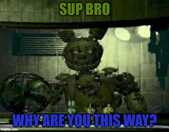 FNAF Springtrap in window | SUP BRO; WHY ARE YOU THIS WAY? | image tagged in fnaf springtrap in window | made w/ Imgflip meme maker