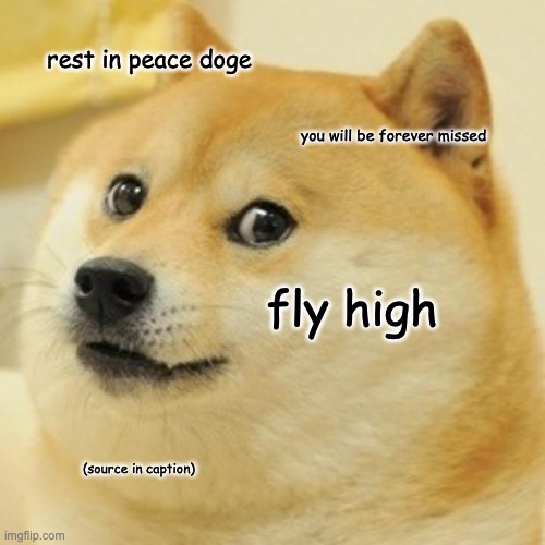 https://www.instagram.com/p/C7V8AGvJPm9/ | rest in peace doge; you will be forever missed; fly high; (source in caption) | image tagged in memes,doge,sad,death,rest in peace | made w/ Imgflip meme maker