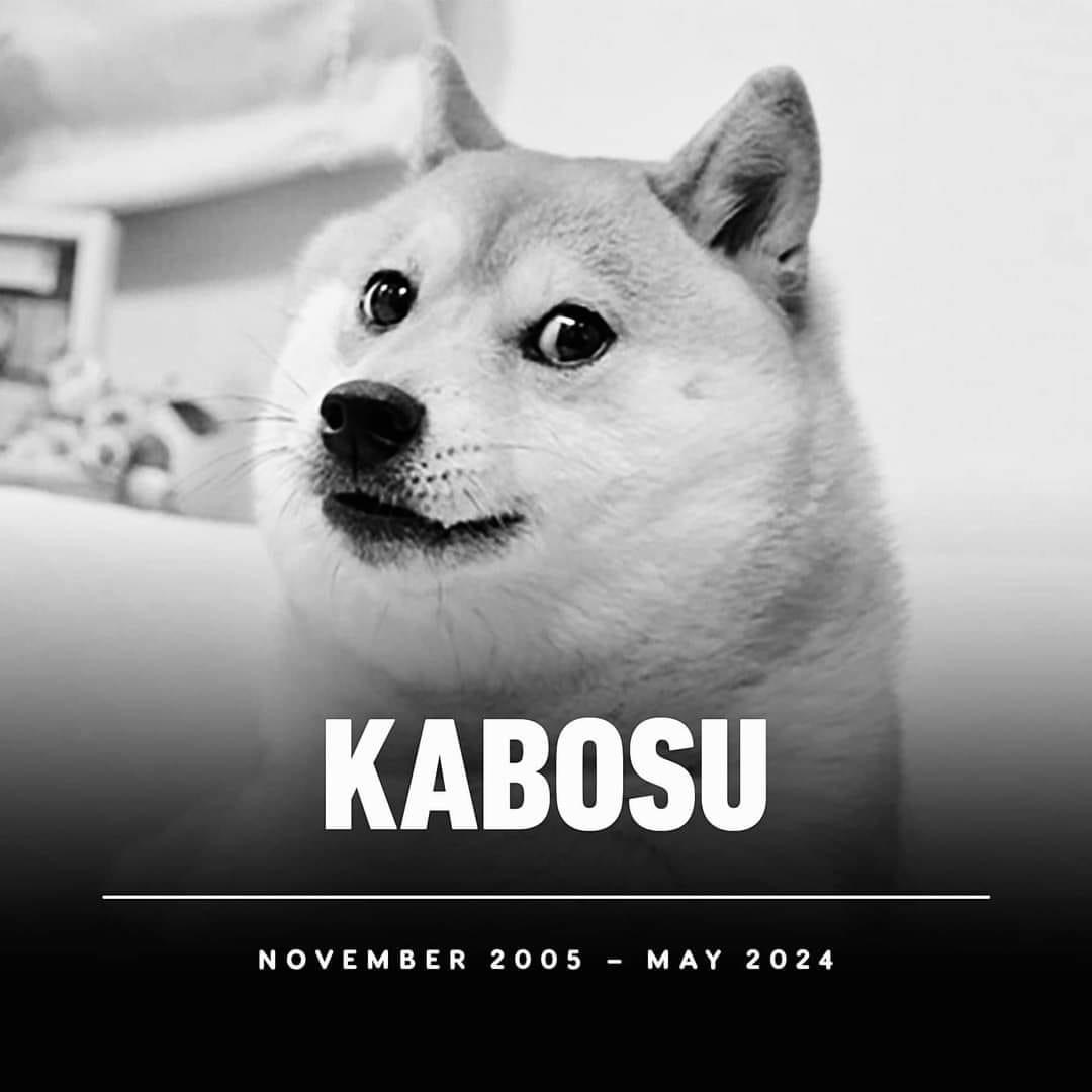 High Quality KABOSU RIP Blank Meme Template