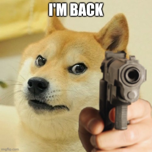 Not that anyone cares | I'M BACK | image tagged in doge holding a gun,beginnerterms | made w/ Imgflip meme maker