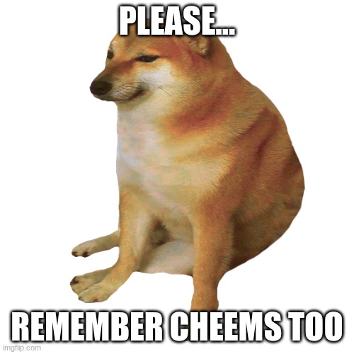 cheems | PLEASE... REMEMBER CHEEMS TOO | image tagged in cheems | made w/ Imgflip meme maker