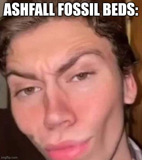 @BadlydrawnYoshi (Nebraska post) | ASHFALL FOSSIL BEDS: | image tagged in rizz | made w/ Imgflip meme maker