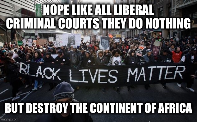 Black lives matter | NOPE LIKE ALL LIBERAL CRIMINAL COURTS THEY DO NOTHING BUT DESTROY THE CONTINENT OF AFRICA | image tagged in black lives matter | made w/ Imgflip meme maker