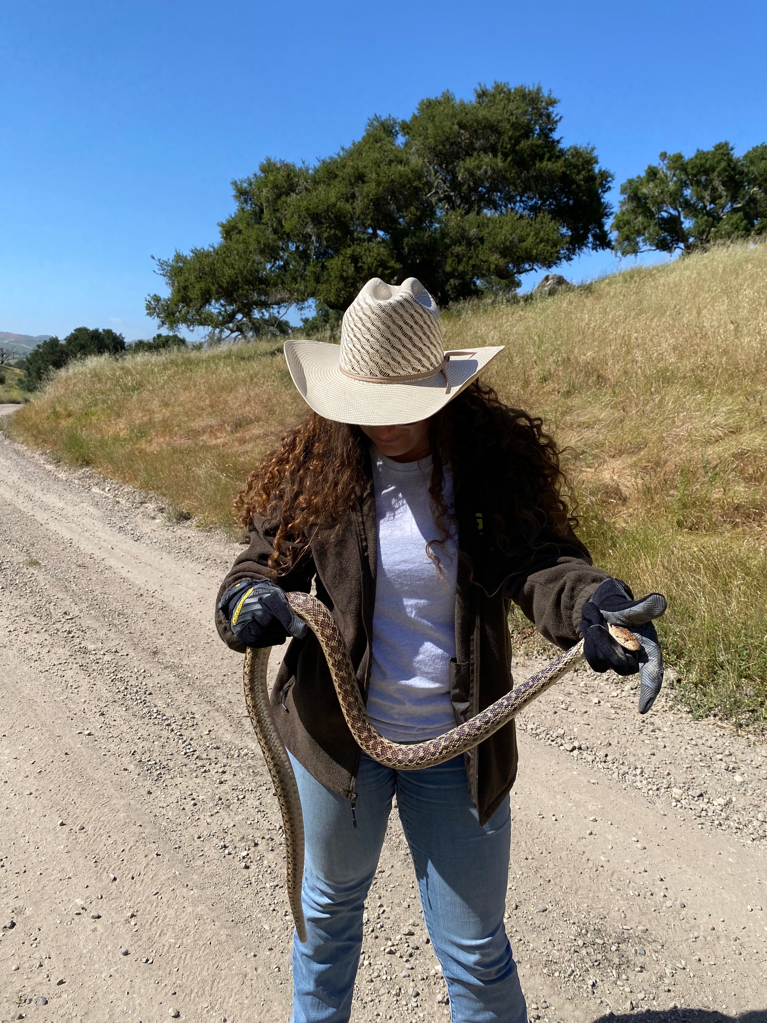 fun day on the ranch | image tagged in snake,ranch work,so fun | made w/ Imgflip meme maker
