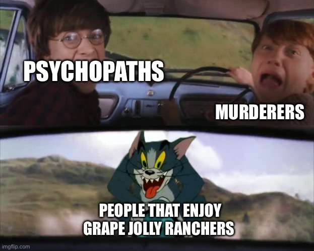 they be wilding | PSYCHOPATHS; MURDERERS; PEOPLE THAT ENJOY GRAPE JOLLY RANCHERS | image tagged in harry potter tom cat meme,fun | made w/ Imgflip meme maker