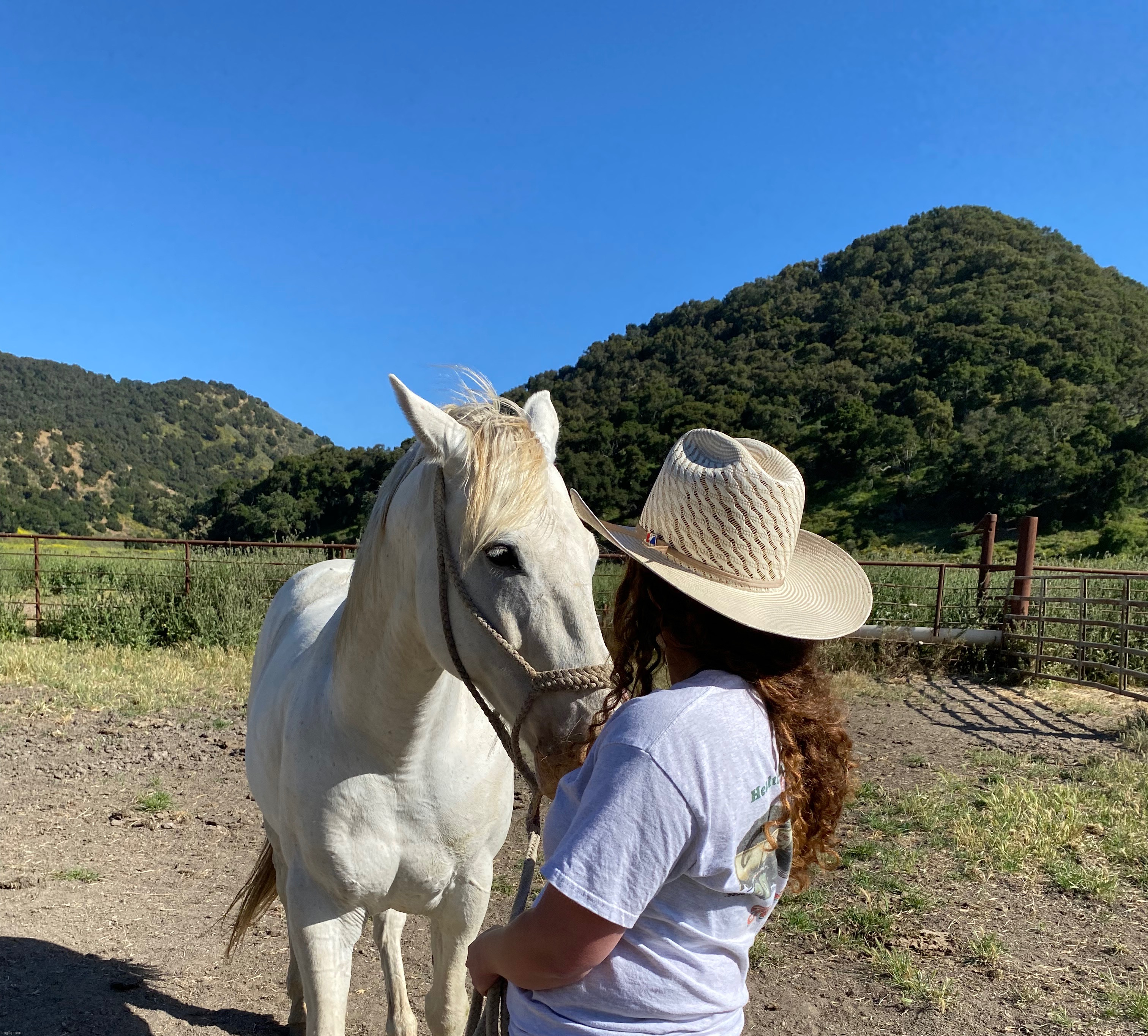 i love horses so much | image tagged in horse,ranch life,so awesome,perfect day | made w/ Imgflip meme maker