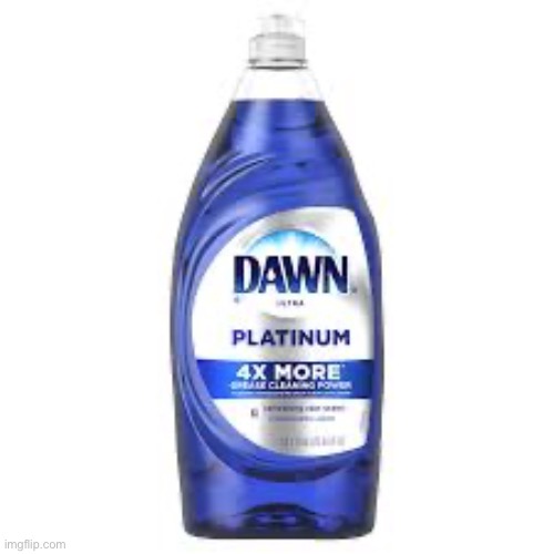 dawn platinum the world | image tagged in dawn platinum the world | made w/ Imgflip meme maker