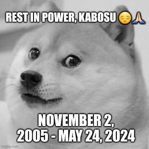 Heaven gained a furry angel today RIP | REST IN POWER, KABOSU 😔🙏🏻; NOVEMBER 2, 2005 - MAY 24, 2024 | image tagged in memes,doge,r i p,r i p legend,rest in power | made w/ Imgflip meme maker
