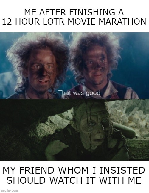 ME AFTER FINISHING A 12 HOUR LOTR MOVIE MARATHON; MY FRIEND WHOM I INSISTED SHOULD WATCH IT WITH ME | made w/ Imgflip meme maker