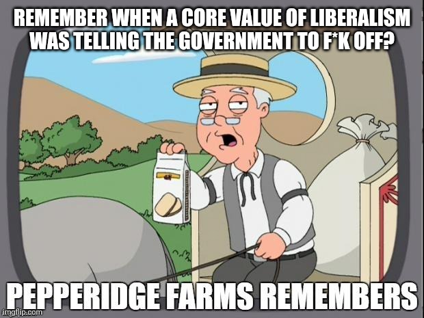 15 Years Ago, They Would've Considered Me a Hippie. My Ideals Have Only Changed Slightly Since Then... | REMEMBER WHEN A CORE VALUE OF LIBERALISM WAS TELLING THE GOVERNMENT TO F*K OFF? | image tagged in pepperidge farms remembers | made w/ Imgflip meme maker