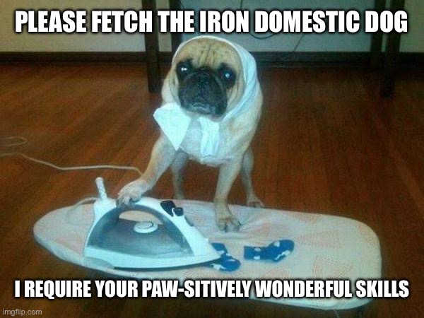 Domestic Dog | PLEASE FETCH THE IRON DOMESTIC DOG; I REQUIRE YOUR PAW-SITIVELY WONDERFUL SKILLS | image tagged in i have no idea what im doing - ironing,dog,dogs,dog memes,domestic dog,clothes | made w/ Imgflip meme maker