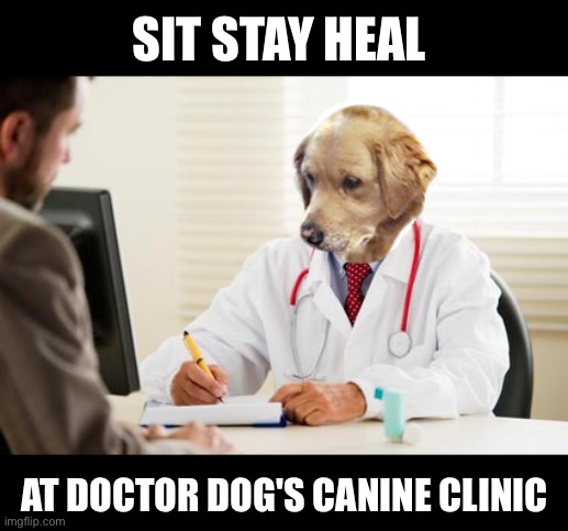Doctor Dog’s Canine Clinic | SIT STAY HEAL; AT DOCTOR DOG'S CANINE CLINIC | image tagged in doctor dog no idea what i'm doing,doctor,doctor dog,dogs,dog,dog memes | made w/ Imgflip meme maker