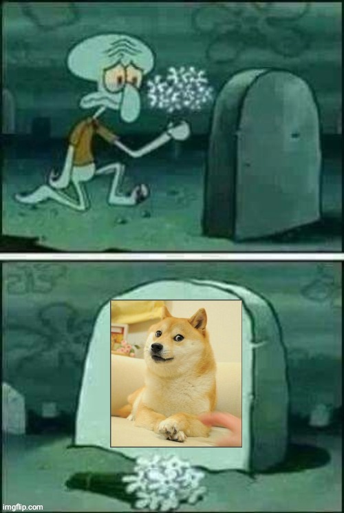 We lost a meme legend.. | image tagged in doge,fun | made w/ Imgflip meme maker