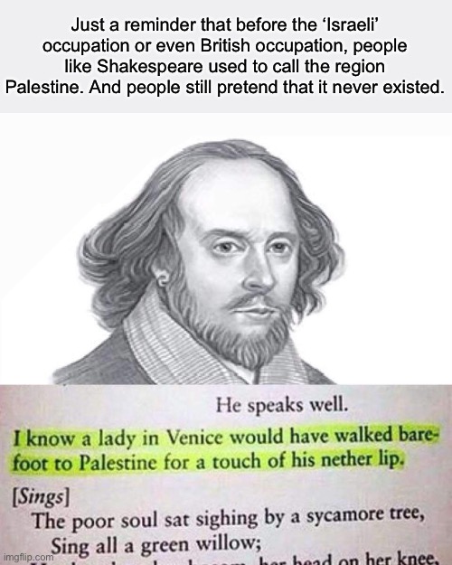 How tf do some people pretend an entire country has never existed | Just a reminder that before the ‘Israeli’ occupation or even British occupation, people like Shakespeare used to call the region Palestine. And people still pretend that it never existed. | made w/ Imgflip meme maker