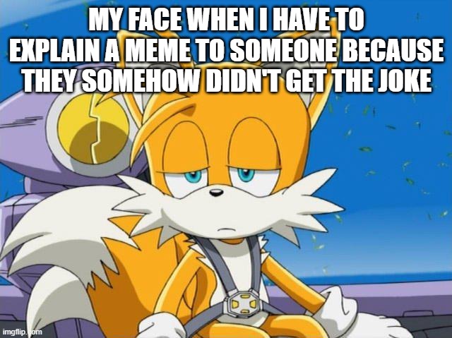 Can anyone relate? | MY FACE WHEN I HAVE TO EXPLAIN A MEME TO SOMEONE BECAUSE THEY SOMEHOW DIDN'T GET THE JOKE | image tagged in sad tails,explain,joke | made w/ Imgflip meme maker