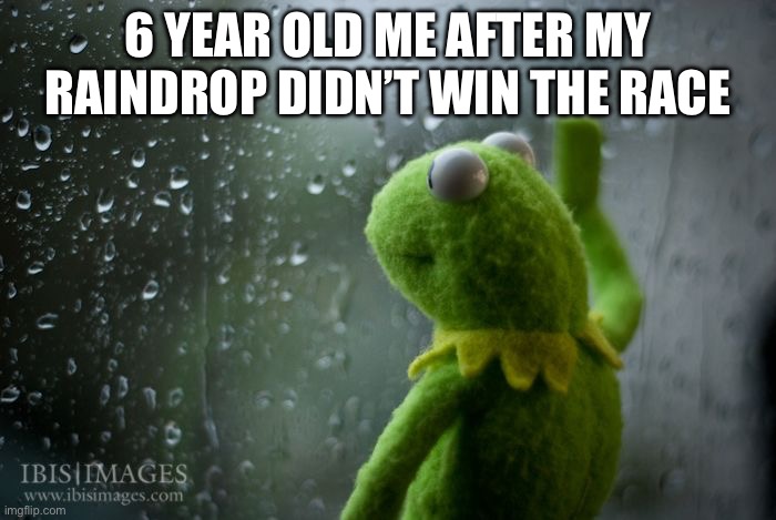 kermit window | 6 YEAR OLD ME AFTER MY RAINDROP DIDN’T WIN THE RACE | image tagged in kermit window | made w/ Imgflip meme maker