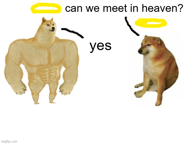 Rest In Peace, Doge and Cheems | can we meet in heaven? yes | image tagged in memes,buff doge vs cheems,rip | made w/ Imgflip meme maker