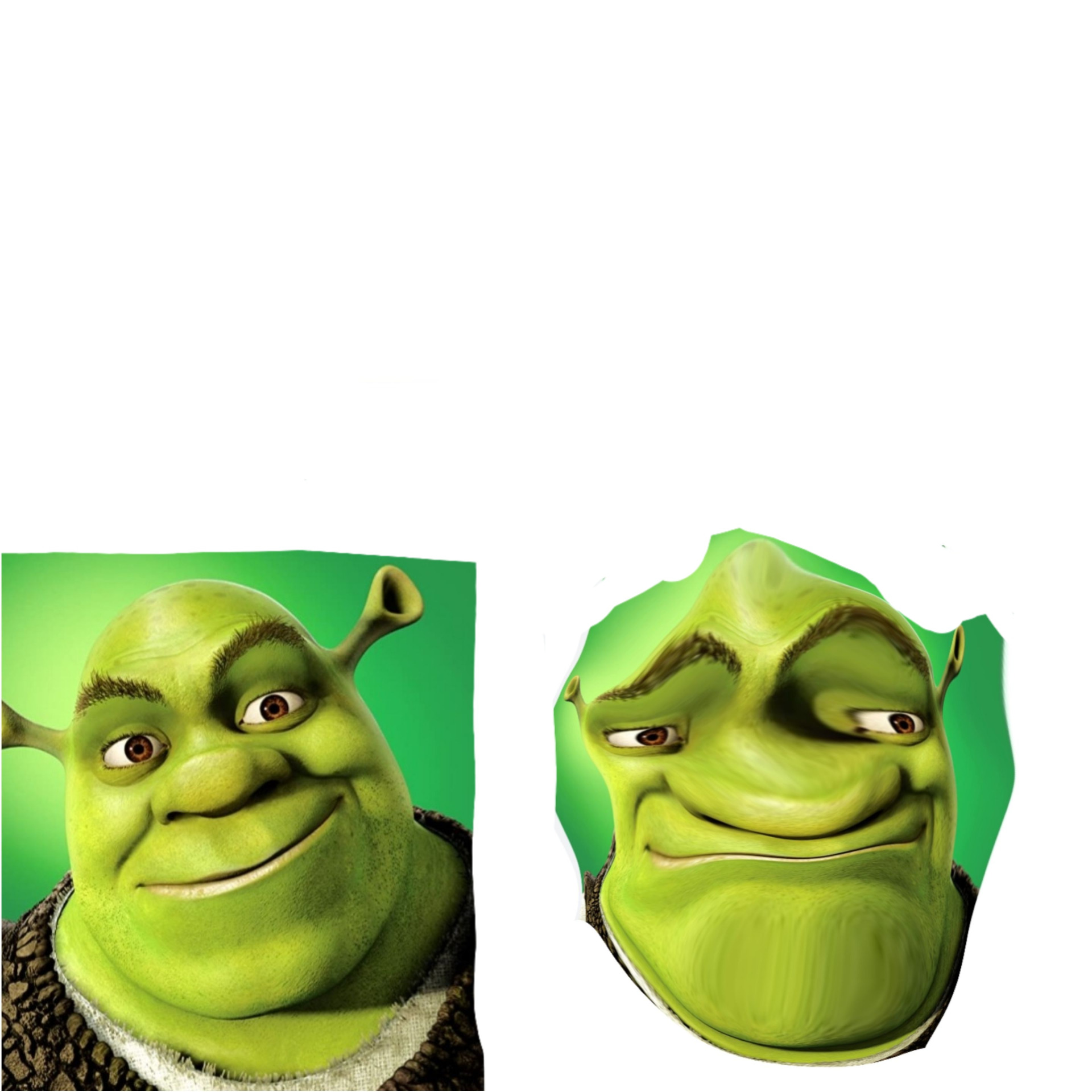 Shrek Face Blank Meme Template