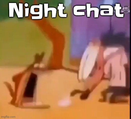 EGG!!?? | Night chat | image tagged in egg | made w/ Imgflip meme maker