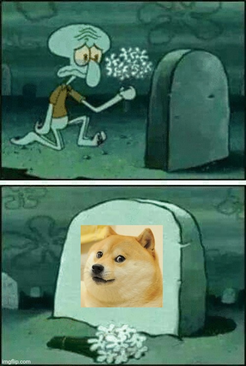 NOT DOGE :( | image tagged in rip,doge | made w/ Imgflip meme maker