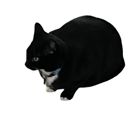 C AR Blank Meme Template