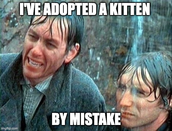 Withnail and I Mistake | I'VE ADOPTED A KITTEN; BY MISTAKE | image tagged in withnail and i mistake | made w/ Imgflip meme maker
