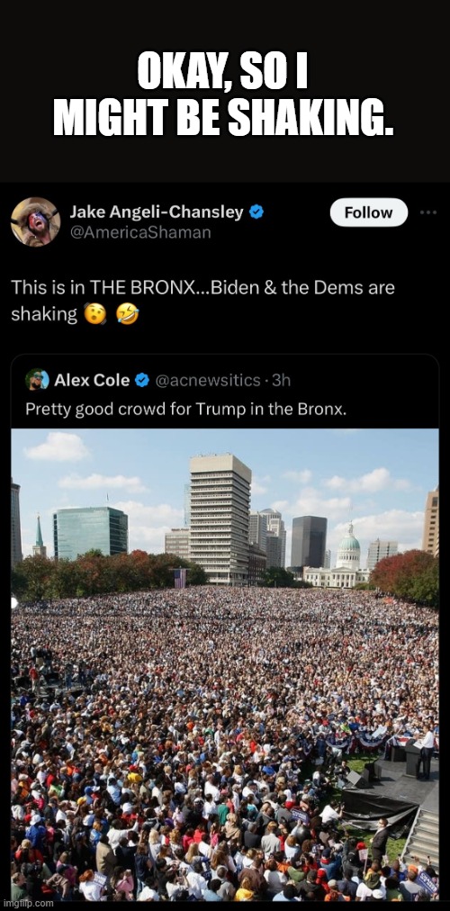 Brown shirts will brown shirt smh. | OKAY, SO I MIGHT BE SHAKING. | image tagged in politics,trump,record numbers,omg,smh | made w/ Imgflip meme maker