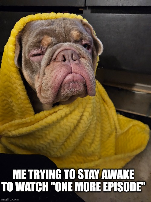 One more episode | ME TRYING TO STAY AWAKE TO WATCH "ONE MORE EPISODE" | image tagged in anime,dogs,tv show,awake,sleep,bulldog | made w/ Imgflip meme maker