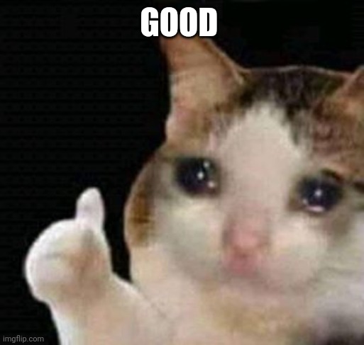 sad thumbs up cat | GOOD | image tagged in sad thumbs up cat | made w/ Imgflip meme maker