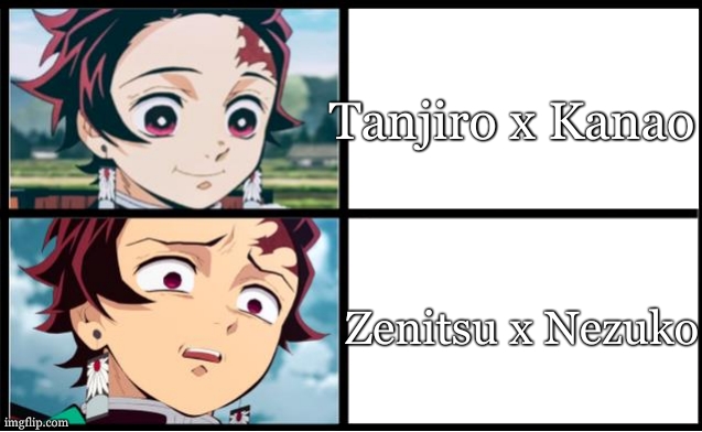 Demon Slayer | Tanjiro x Kanao; Zenitsu x Nezuko | image tagged in tanjiro approval | made w/ Imgflip meme maker