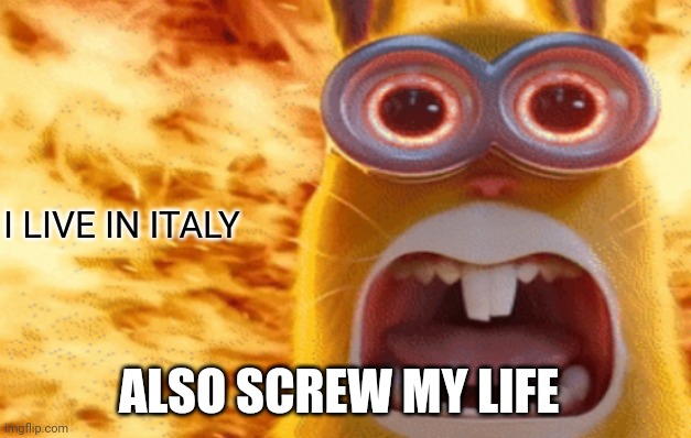 minion rabbit screaming | I LIVE IN ITALY; ALSO SCREW MY LIFE | image tagged in minion rabbit screaming | made w/ Imgflip meme maker