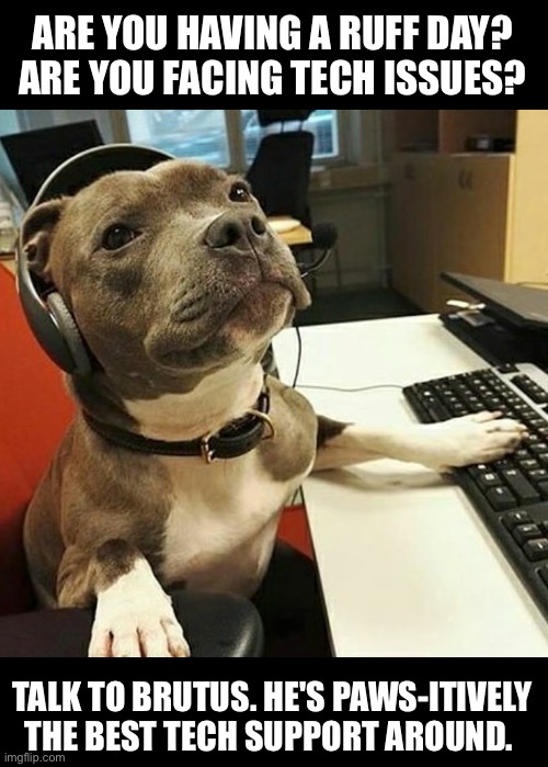 Brutus the tech support dog | ARE YOU HAVING A RUFF DAY? ARE YOU FACING TECH ISSUES? TALK TO BRUTUS. HE'S PAWS-ITIVELY THE BEST TECH SUPPORT AROUND. | image tagged in pit bull tech support,dogs,dog,dog memes,tech,tech support | made w/ Imgflip meme maker