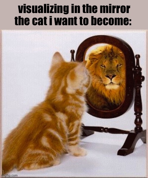 The cat I want to be | visualizing in the mirror the cat i want to become: | image tagged in cat mirror lion,cat,cats,the cat i want to be,lion,cat memes | made w/ Imgflip meme maker