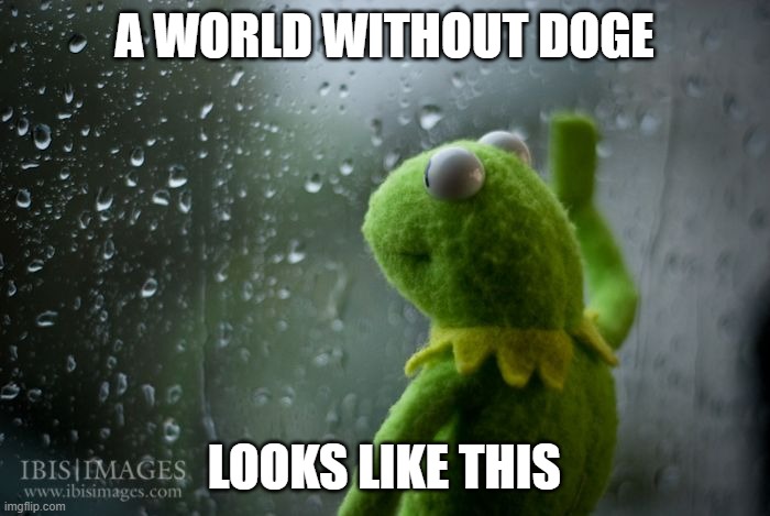 A WORLD WITHOUT DOGE LOOKS LIKE THIS | image tagged in kermit window | made w/ Imgflip meme maker