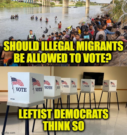 Winning at any cost | SHOULD ILLEGAL MIGRANTS
BE ALLOWED TO VOTE? LEFTIST DEMOCRATS
THINK SO | image tagged in election fraud | made w/ Imgflip meme maker